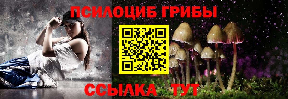 Галлюциногенные грибы Cubensis Тихвин